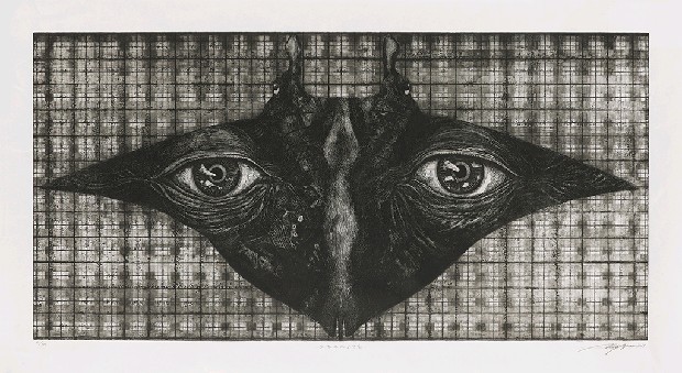 藏品:隱形的(1)張圖片