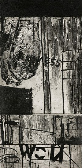 藏品:Topographies of the Wall的(1)張圖片
