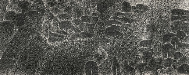 藏品:觸5-3的(1)張圖片