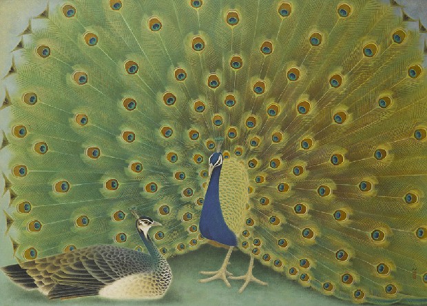 藏品:孔雀開屏的(1)張圖片