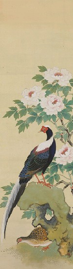 藏品:牡丹藍腹的(1)張圖片