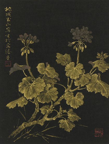 藏品:海棠-1的(1)張圖片