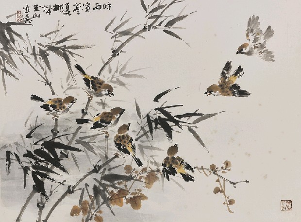 藏品:雀的(1)張圖片