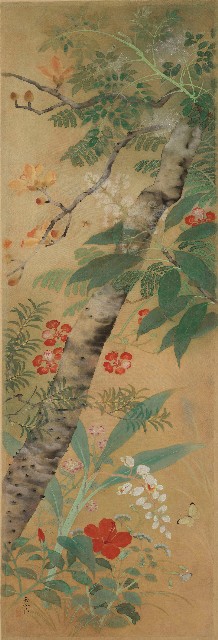 藏品:春夏花卉的(1)張圖片