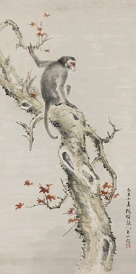 藏品:楓猴的(1)張圖片