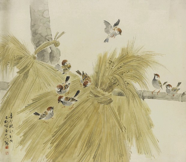 藏品:農村秋情的(1)張圖片