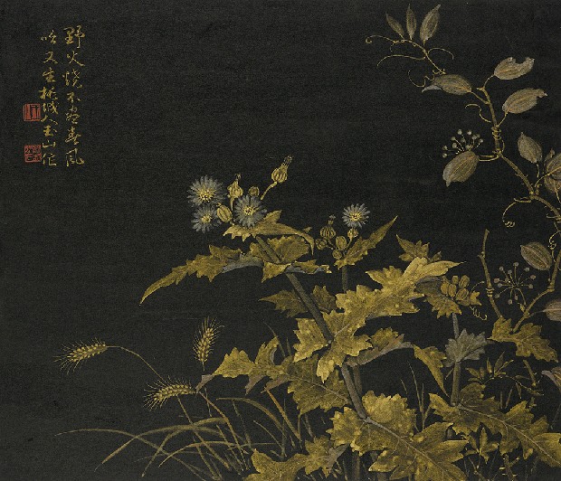 藏品:春草的(1)張圖片