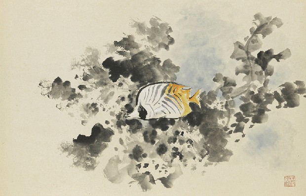 藏品:珊瑚游魚的(1)張圖片