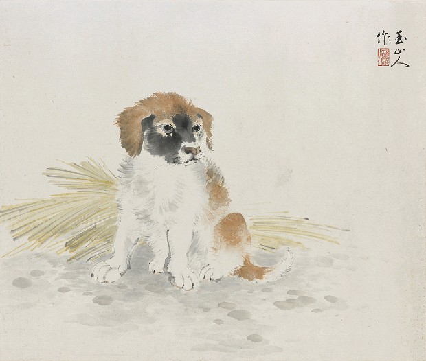 藏品:幼犬的(1)張圖片