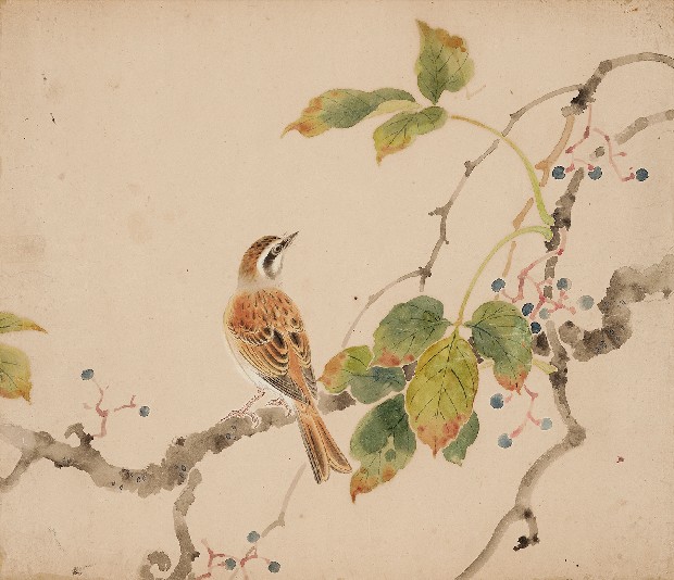 藏品:花鳥的(1)張圖片