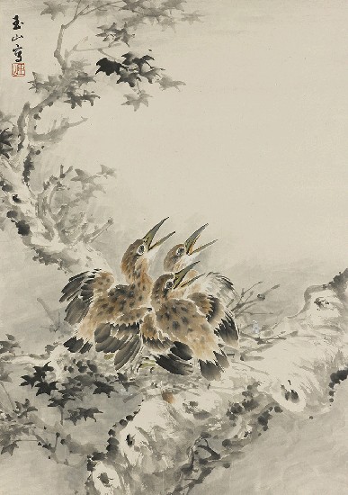 藏品:待哺的(1)張圖片