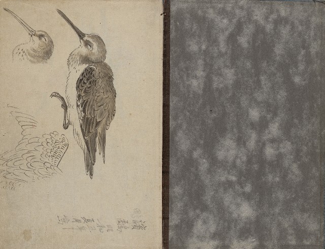 藏品:1930年代花鳥、景觀寫生集的(2)張圖片