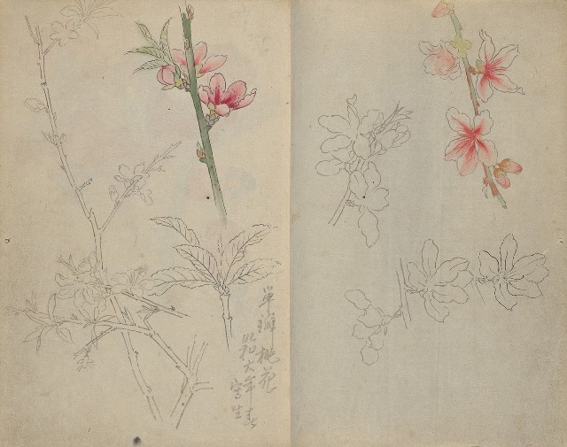 藏品:1930年代花鳥、景觀寫生集的(3)張圖片