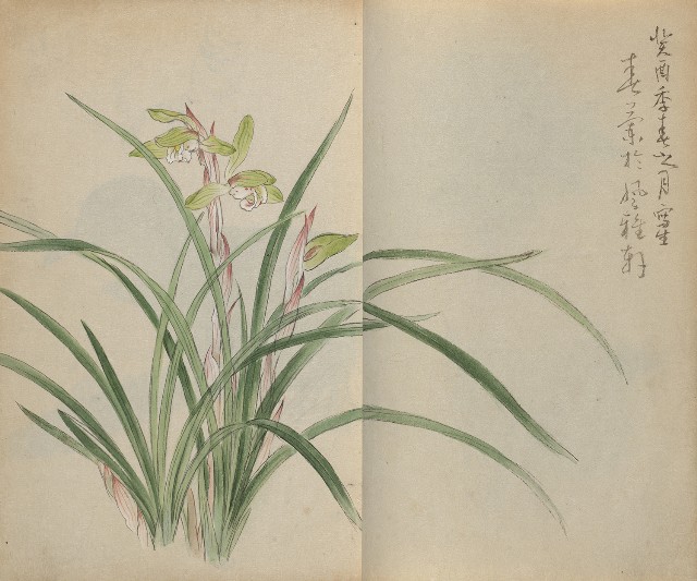 藏品:1930年代花鳥、景觀寫生集的(10)張圖片