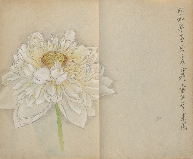 藏品:1930年代花鳥、景觀寫生集的(13)張圖片