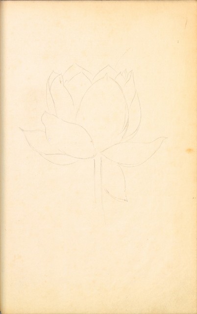 藏品:花鳥寫生冊002的(17)張圖片