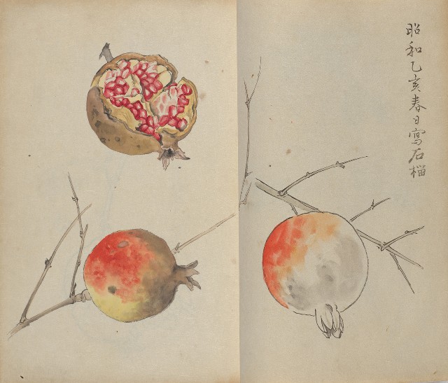 藏品:1930年代花鳥、景觀寫生集的(18)張圖片
