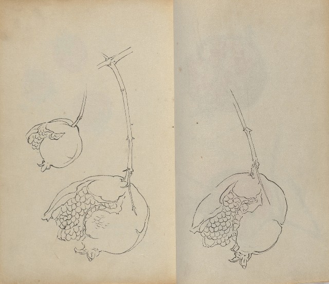 藏品:1930年代花鳥、景觀寫生集的(19)張圖片