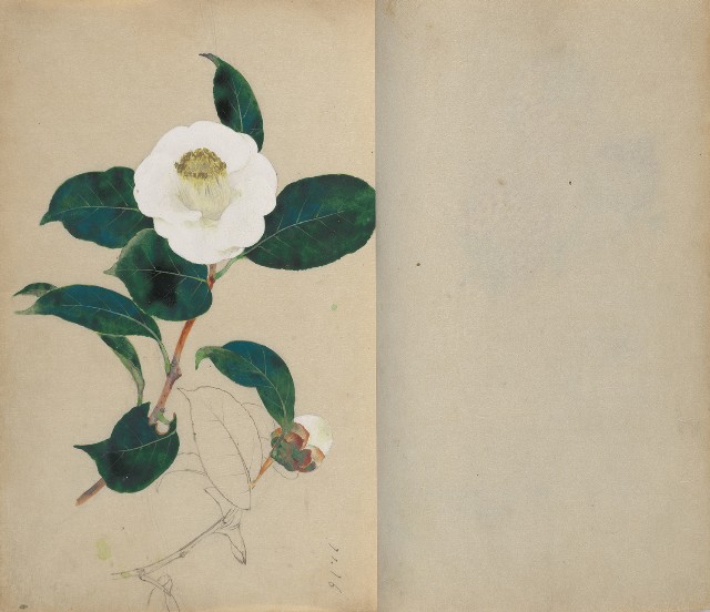藏品:1930年代花鳥、景觀寫生集的(21)張圖片