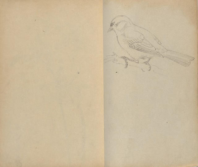藏品:1930年代花鳥、景觀寫生集的(22)張圖片