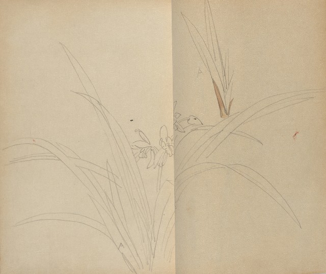 藏品:1930年代花鳥、景觀寫生集的(24)張圖片
