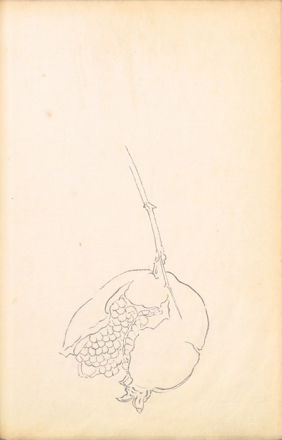 藏品:花鳥寫生冊002的(28)張圖片