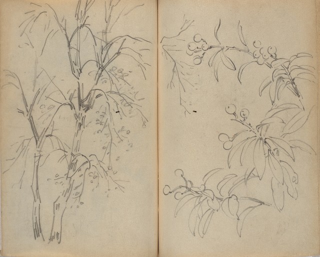 藏品:1930年代花鳥、景觀寫生集的(31)張圖片