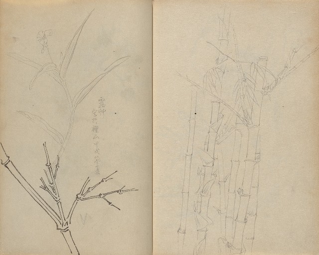 藏品:1930年代花鳥、景觀寫生集的(37)張圖片