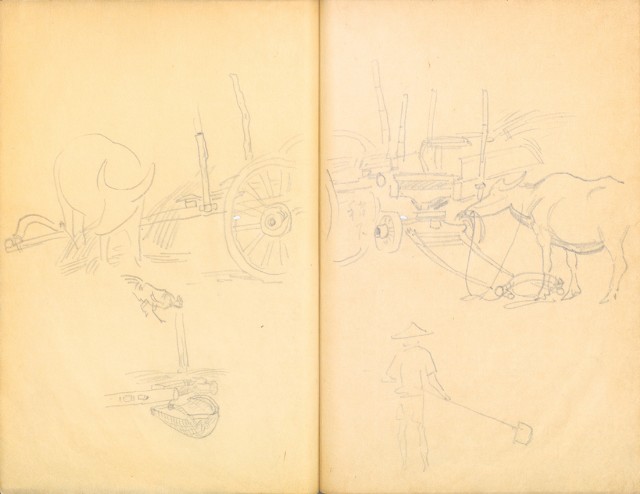 藏品:花鳥寫生冊002的(40)張圖片