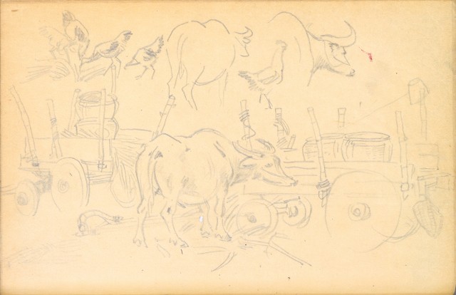 藏品:花鳥寫生冊002的(41)張圖片