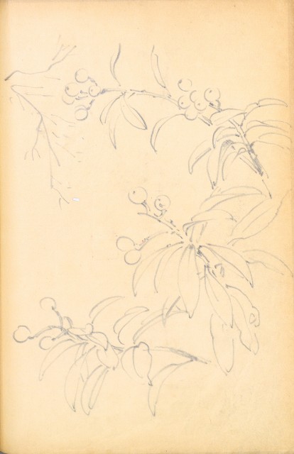 藏品:花鳥寫生冊002的(45)張圖片