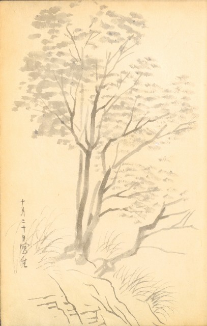 藏品:花鳥寫生冊002的(53)張圖片