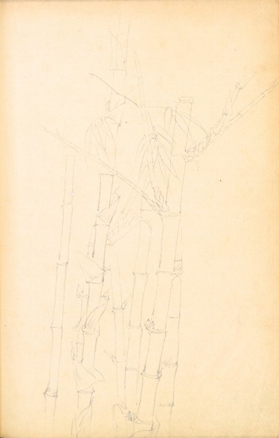 藏品:花鳥寫生冊002的(57)張圖片