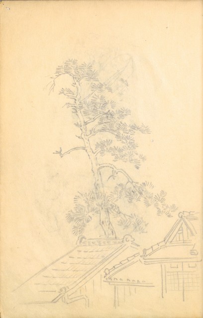 藏品:花鳥寫生冊002的(62)張圖片