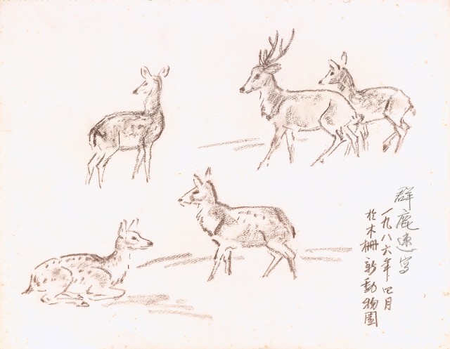 藏品:海景、印尼等寫生集003的(6)張圖片