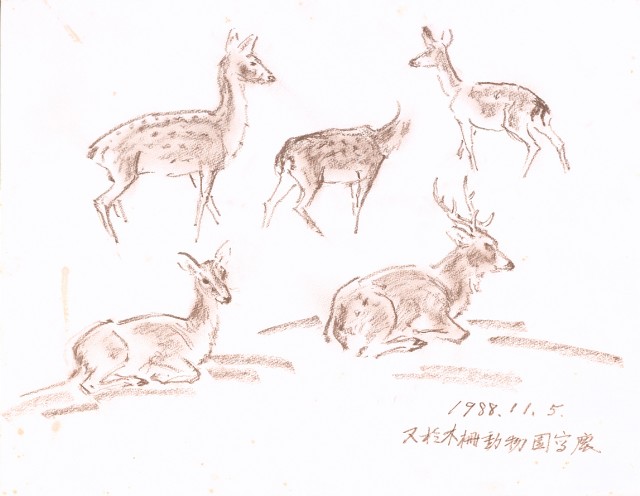 藏品:海景、印尼等寫生集003的(15)張圖片