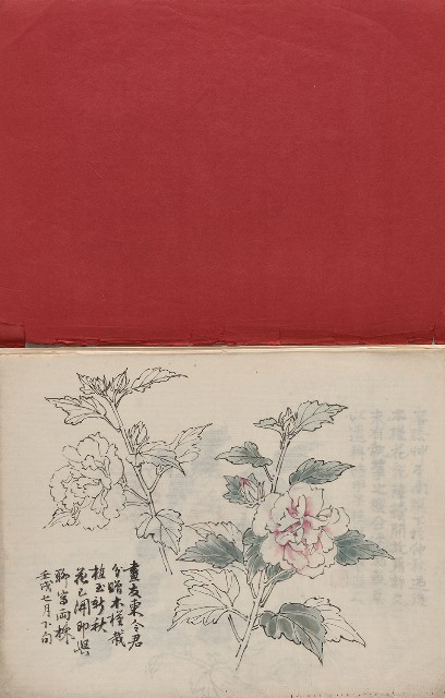 藏品:臺灣東北角海岸及植物、人物等寫生集的(2)張圖片