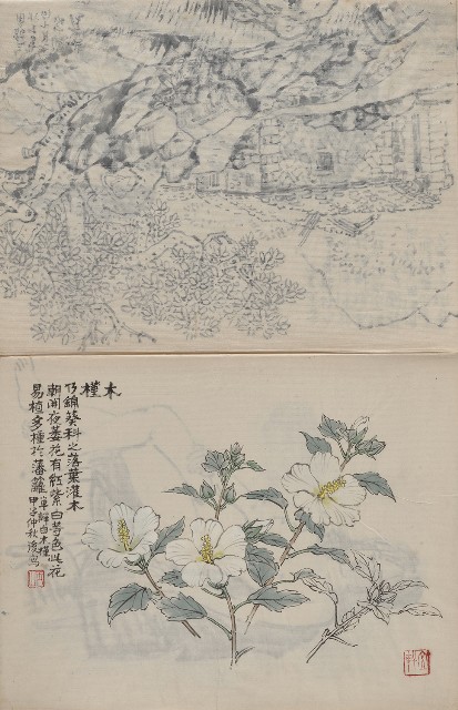 藏品:臺灣東北角海岸及植物、人物等寫生集的(7)張圖片