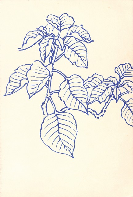 藏品:峨嵋金頂、風景、花、鹿、駱駝等寫生集006A的(6)張圖片