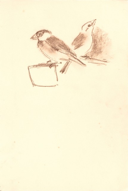 藏品:峨嵋金頂、風景、花、鹿、駱駝等寫生集006A的(9)張圖片