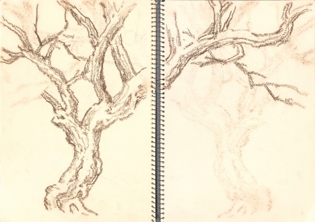 藏品:峨嵋金頂、風景、花、鹿、駱駝等寫生集006A的(10)張圖片