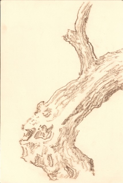 藏品:峨嵋金頂、風景、花、鹿、駱駝等寫生集006A的(11)張圖片