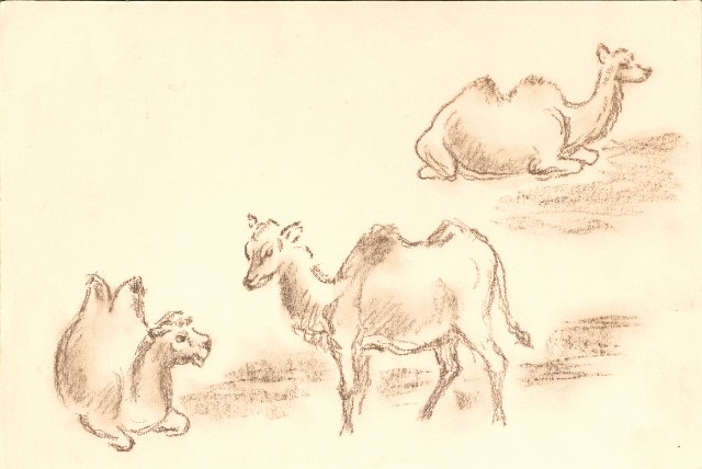 藏品:Mount Emei Jinding, Landscapes, Flowers, Deer, Camels, etc. Life Drawing Collection 006A的(9)張圖片