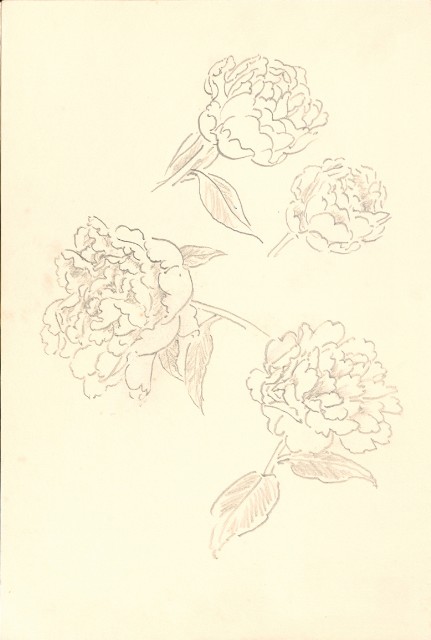 藏品:峨嵋金頂、風景、花、鹿、駱駝等寫生集006A的(19)張圖片