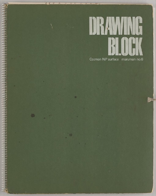 美國紐約自然史博物館、臺灣東北角海岸等寫生集的焦點圖