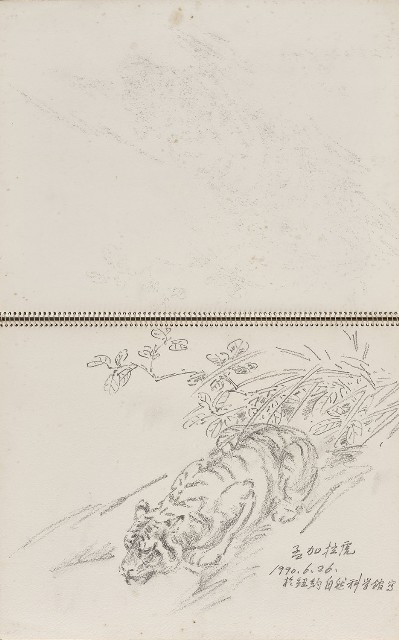 藏品:美國紐約自然史博物館、臺灣東北角海岸等寫生集的(4)張圖片