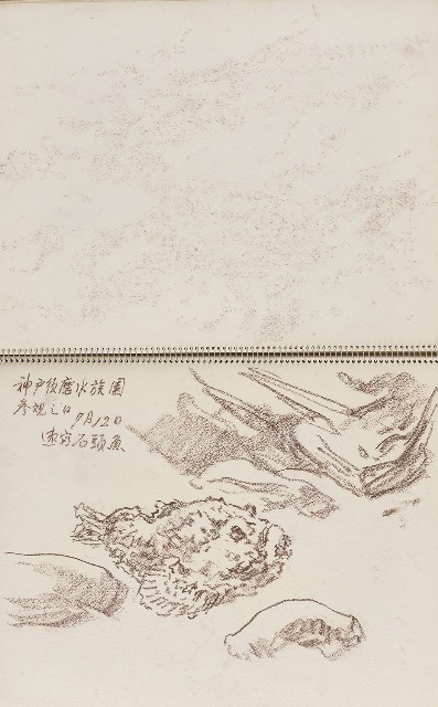 藏品:美國紐約自然史博物館、臺灣東北角海岸等寫生集的(8)張圖片