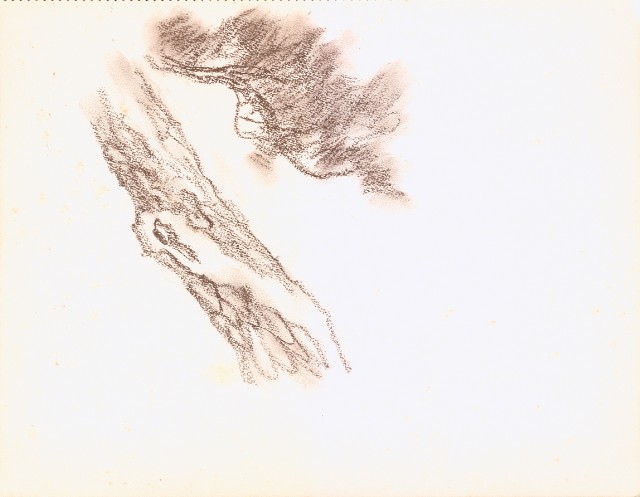 藏品:獅、虎、魚等寫生集006B的(9)張圖片