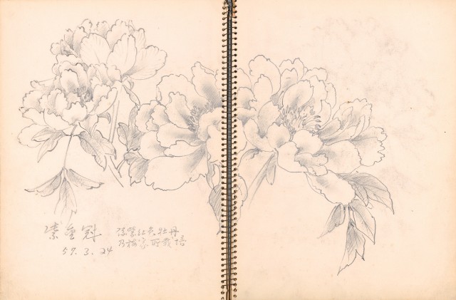 藏品:花、鴛鴦、虎、鳥等寫生集008的(3)張圖片