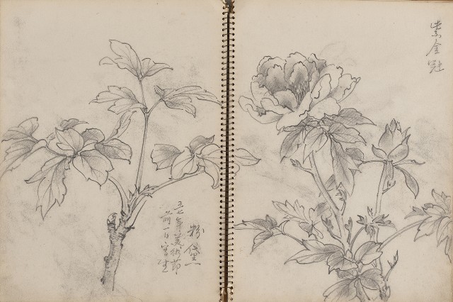 藏品:動物、植物及猴硐景觀等寫生集的(4)張圖片